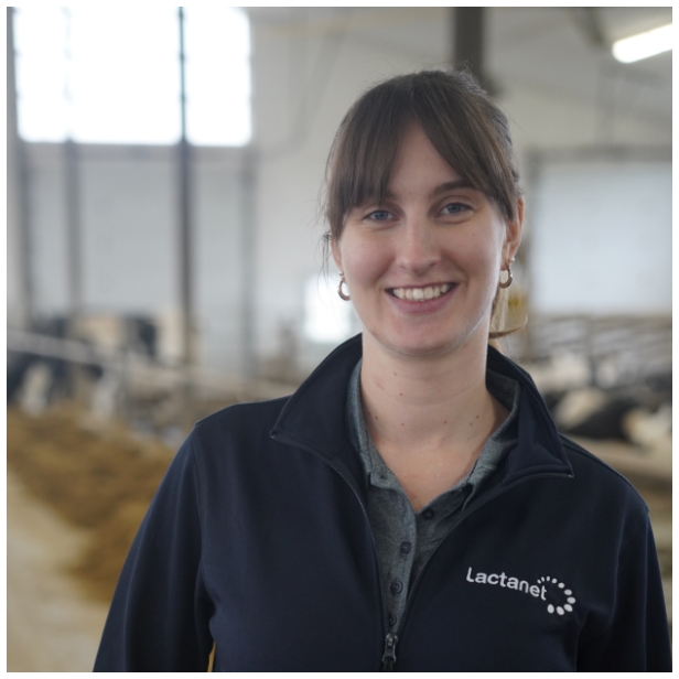 DairyTrace Program Manager